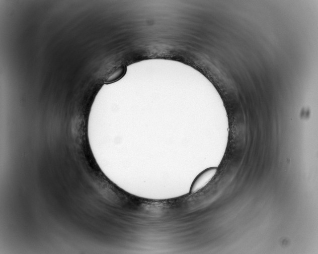 X0000103420079200810101029