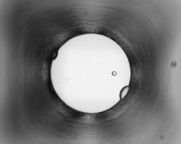 X0000103420080200810101029
