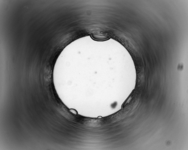 X0000103420081200810101029