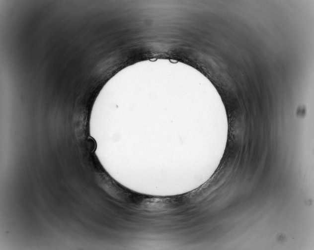 X0000103420082200810101029