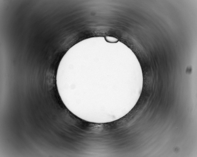 X0000103420083200810101029