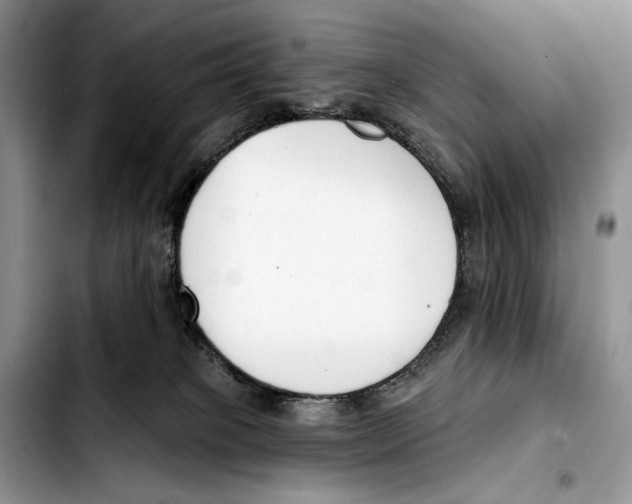 X0000103420085200810101029