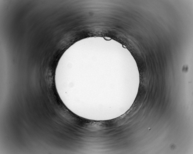 X0000103420086200810101029