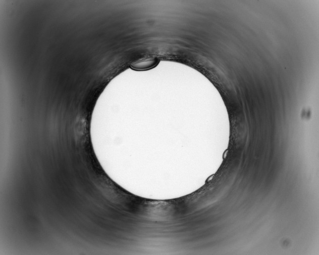 X0000103420087200810101029