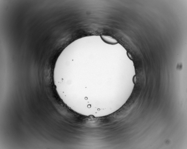 X0000103420088200810101029