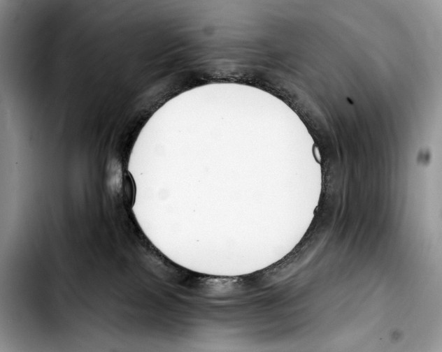 X0000103420089200810101029