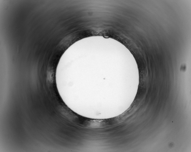 X0000103420090200810101029