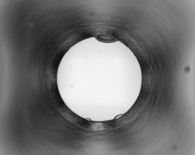 X0000103420091200810101029
