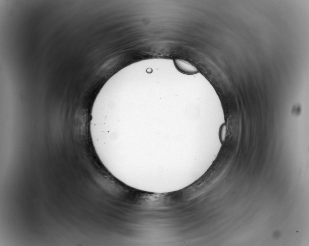 X0000103420092200810101029