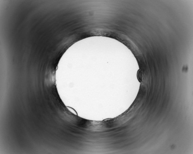 X0000103420095200810101029