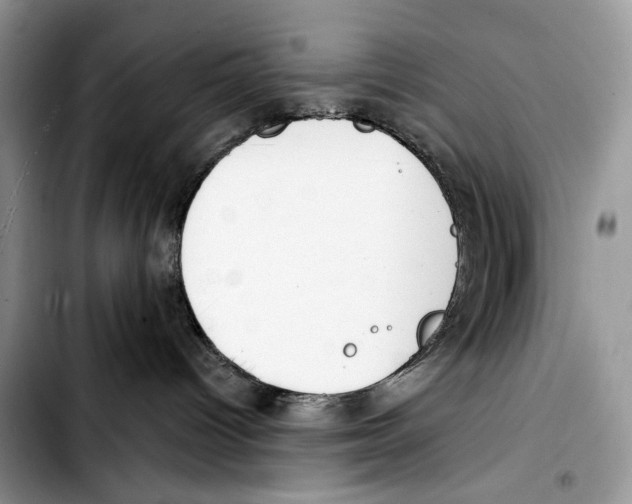 X0000103420096200810101029