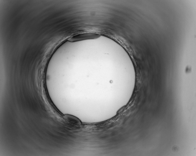 X0000103420097200810101028