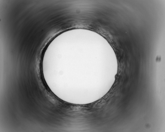 X0000103420098200810101028