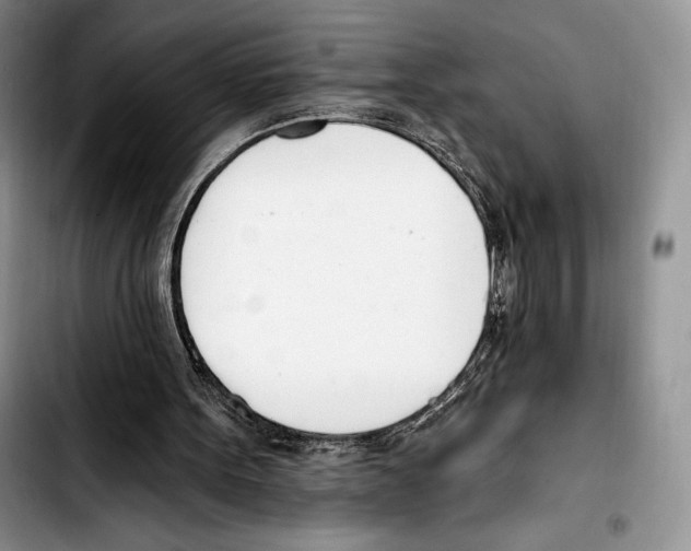 X0000103420099200810101028