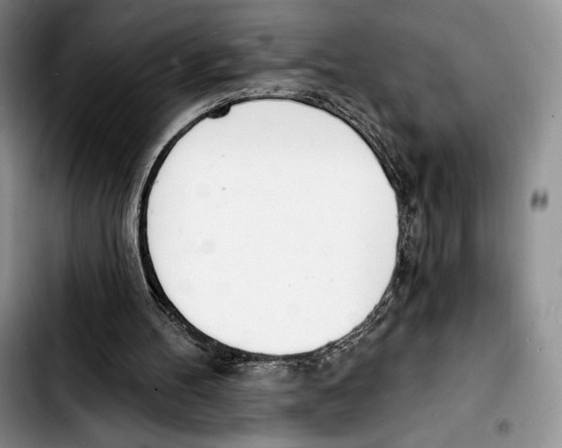 X0000103420100200810101028