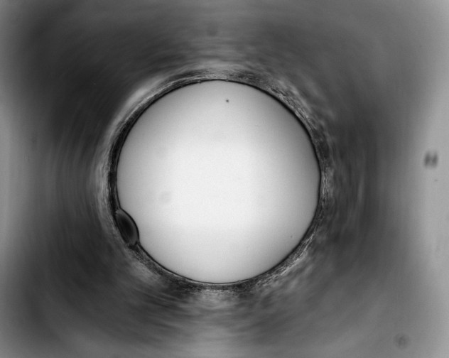 X0000103420101200810101028