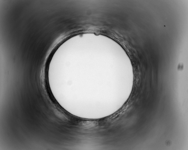 X0000103420102200810101028