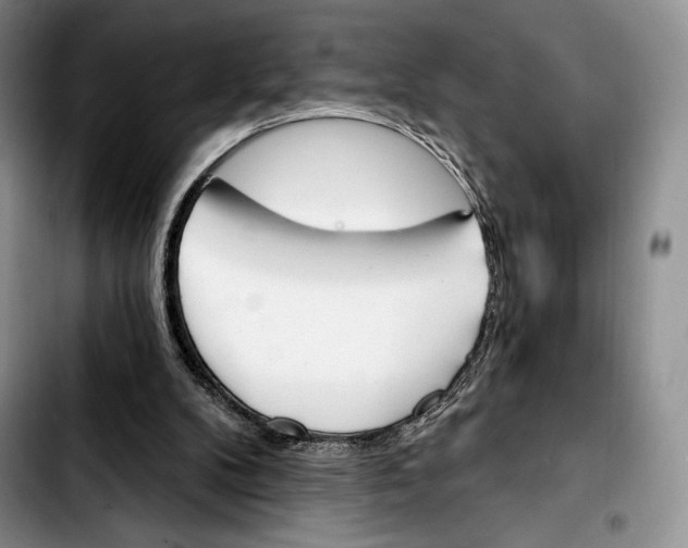 X0000103420104200810101028
