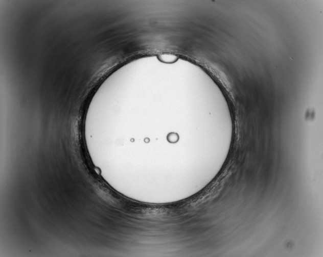 X0000103420105200810101028