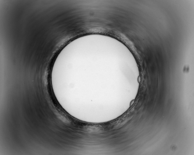X0000103420106200810101028
