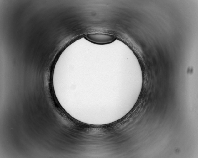 X0000103420107200810101028