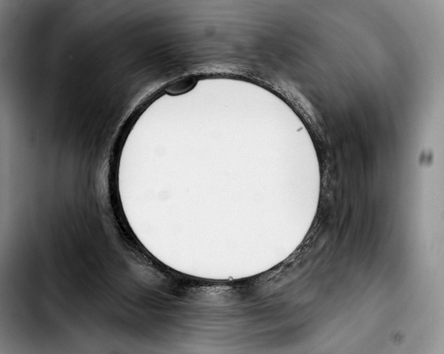 X0000103420108200810101028
