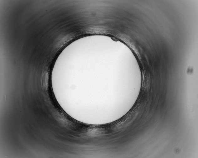 X0000103420109200810101028