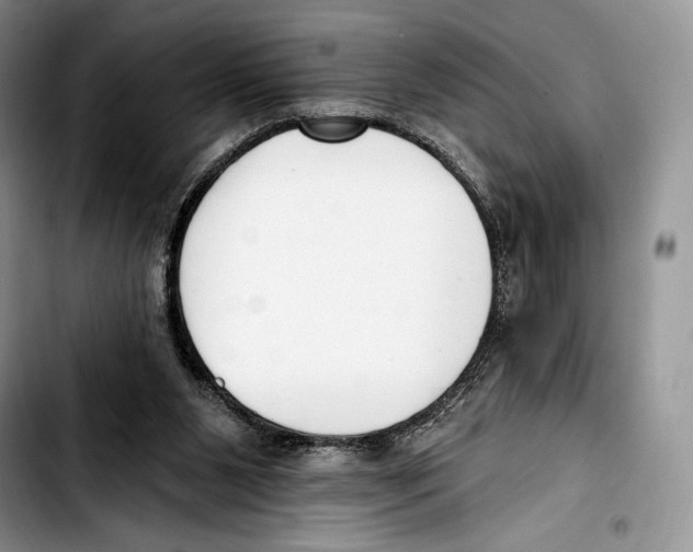 X0000103420111200810101028