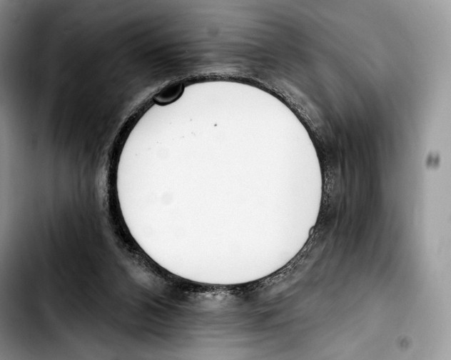 X0000103420112200810101028
