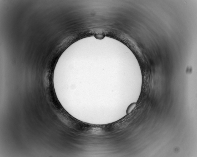 X0000103420114200810101028