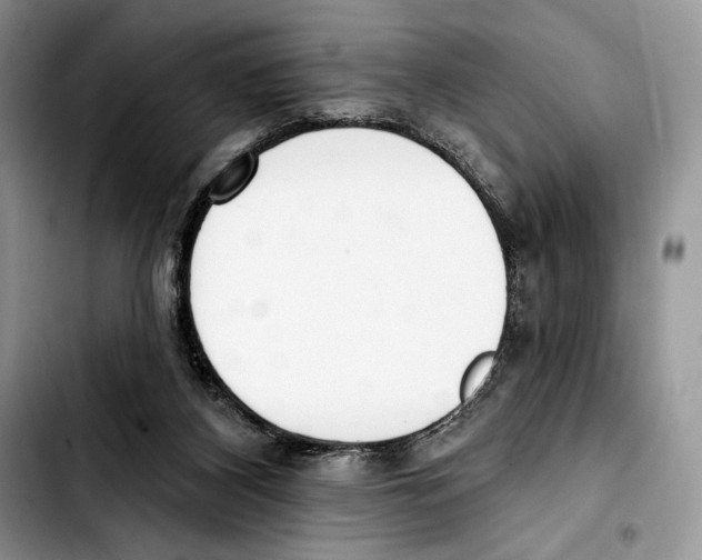 X0000103420116200810101028