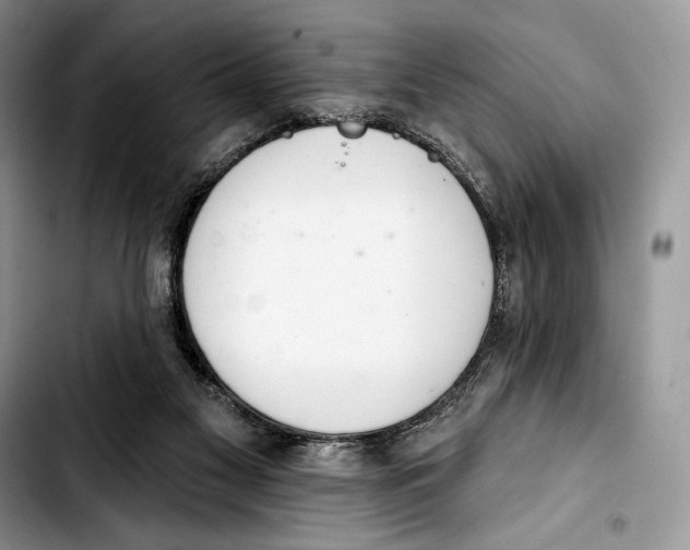 X0000103420117200810101028