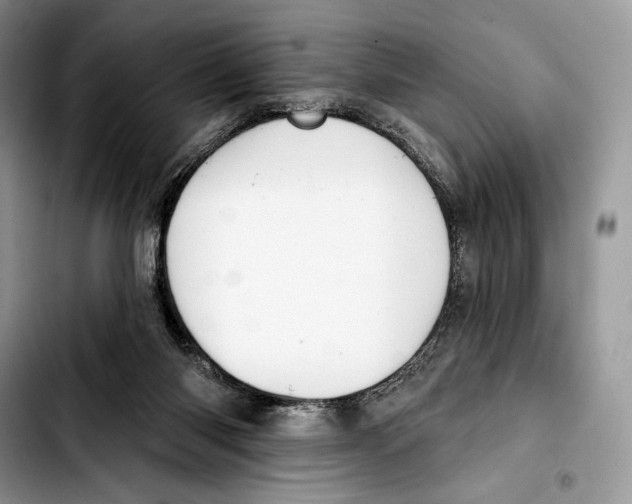X0000103420118200810101028
