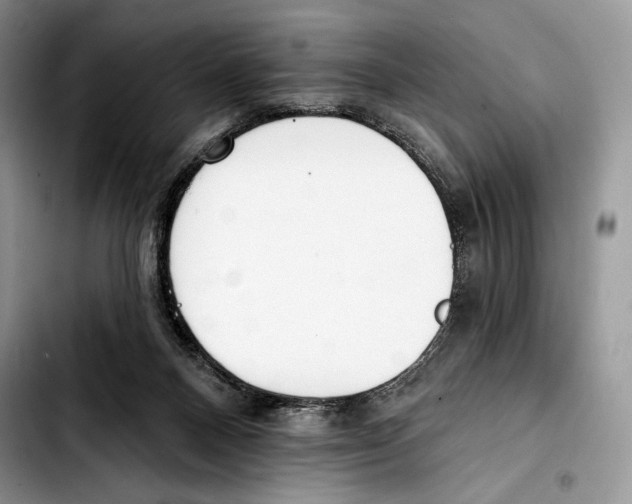 X0000103420120200810101028