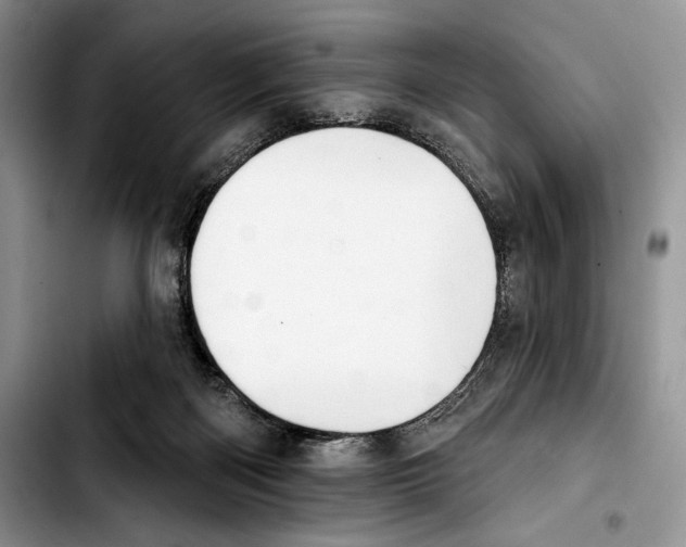 X0000103420122200810101028