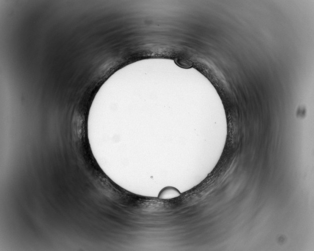 X0000103420123200810101028