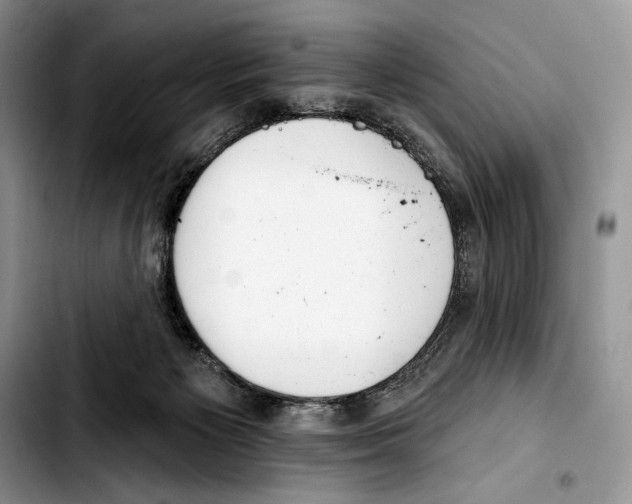 X0000103420125200810101028
