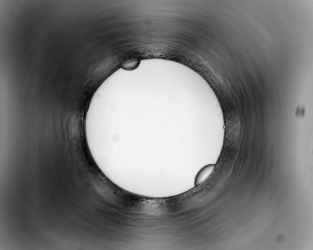 X0000103420126200810101028