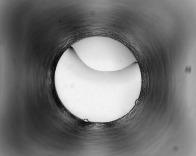 X0000103420128200810101028