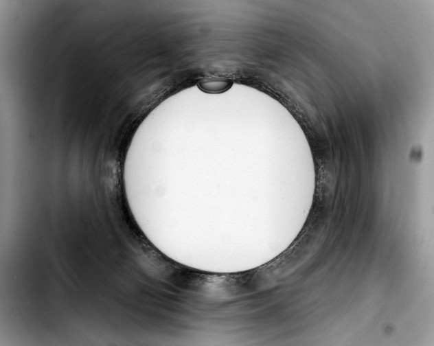 X0000103420130200810101028