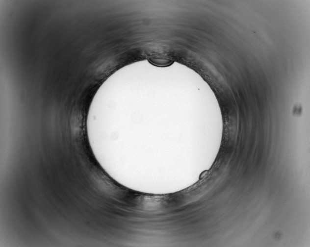 X0000103420134200810101028
