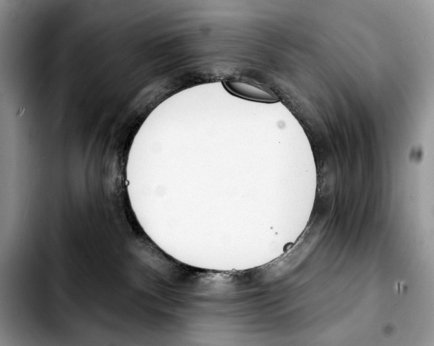 X0000103420140200810101027