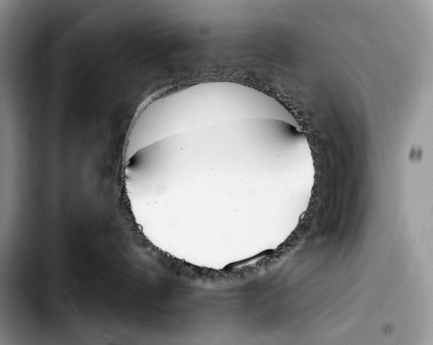 X0000103420144200810101027