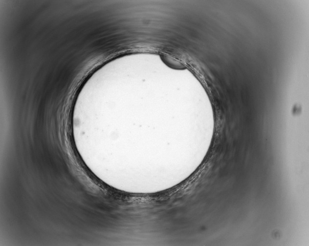 X0000103420145200810101026