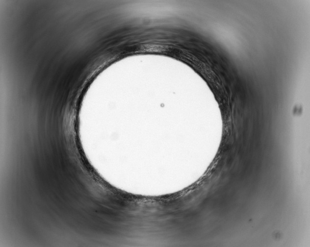 X0000103420146200810101026
