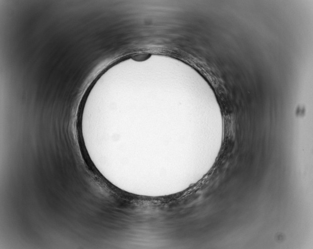 X0000103420147200810101026