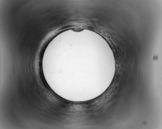 X0000103420149200810101026