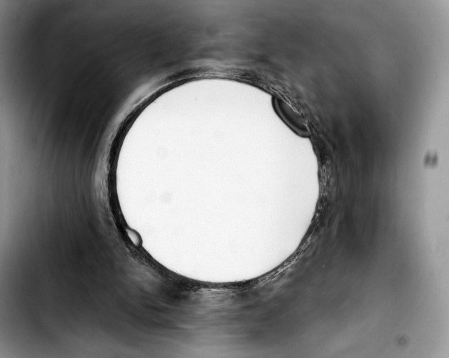 X0000103420150200810101026