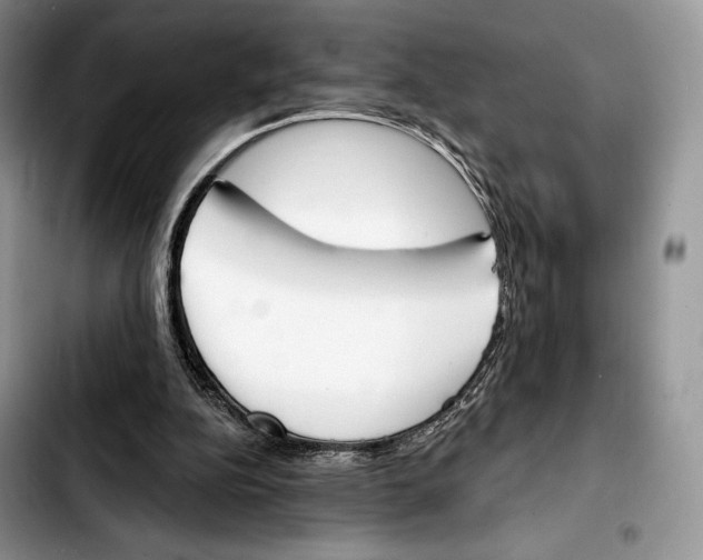 X0000103420152200810101026