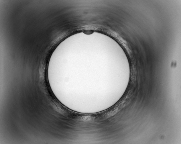 X0000103420153200810101027